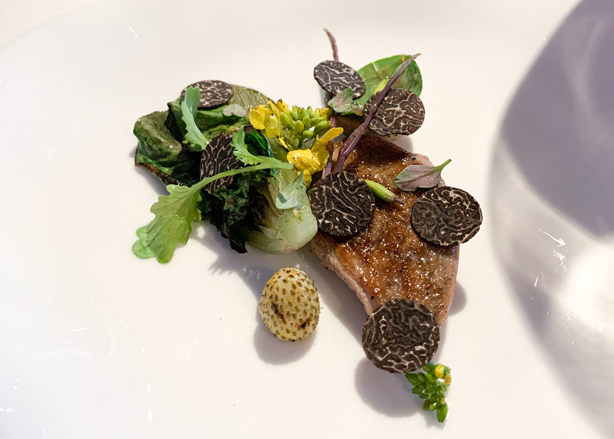 Geranium Copenhagen Course Evening